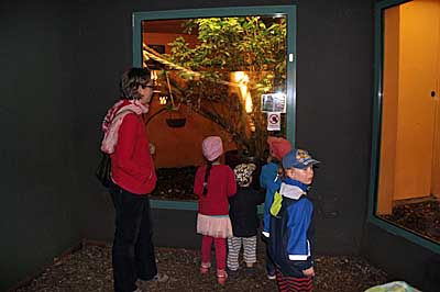 arch-2015-kindergr-absch06.jpg